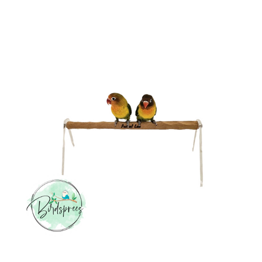 Parrot Lab Triangular Acrylic Table Perch - Birdsprees