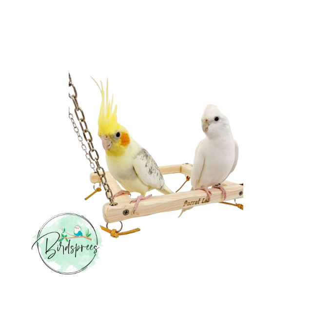 Parrot Lab Hinoki platform swing - Birdsprees