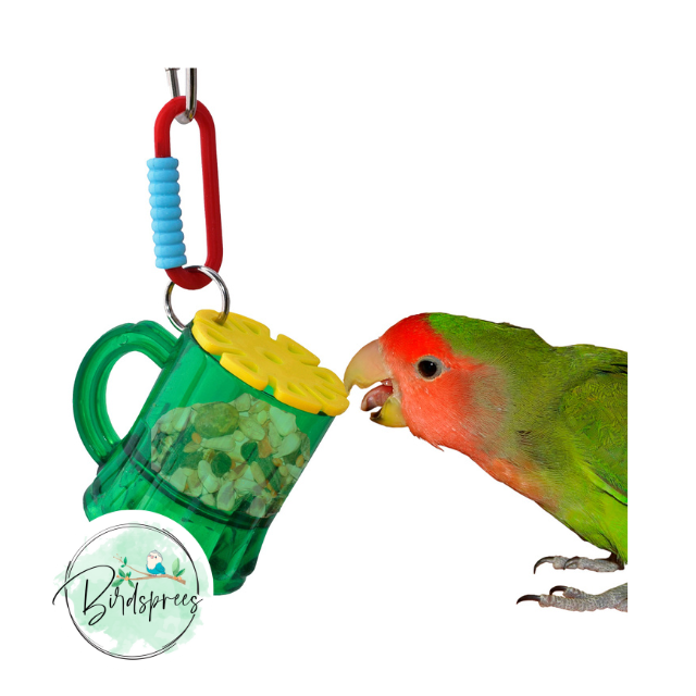 Small Parrot Toys