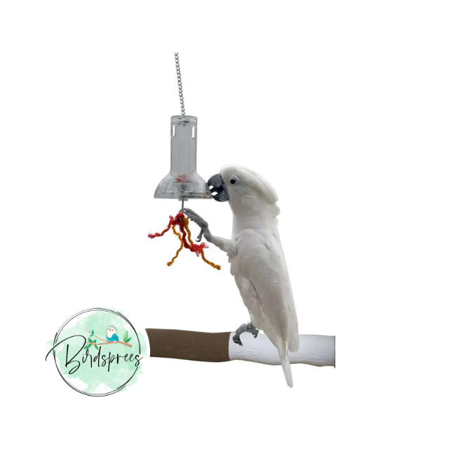 Paradise Toys Foraging Capsule - Birdsprees