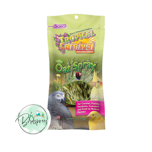 Brown's Natural Oat Sprays Parrot Treats - Birdsprees